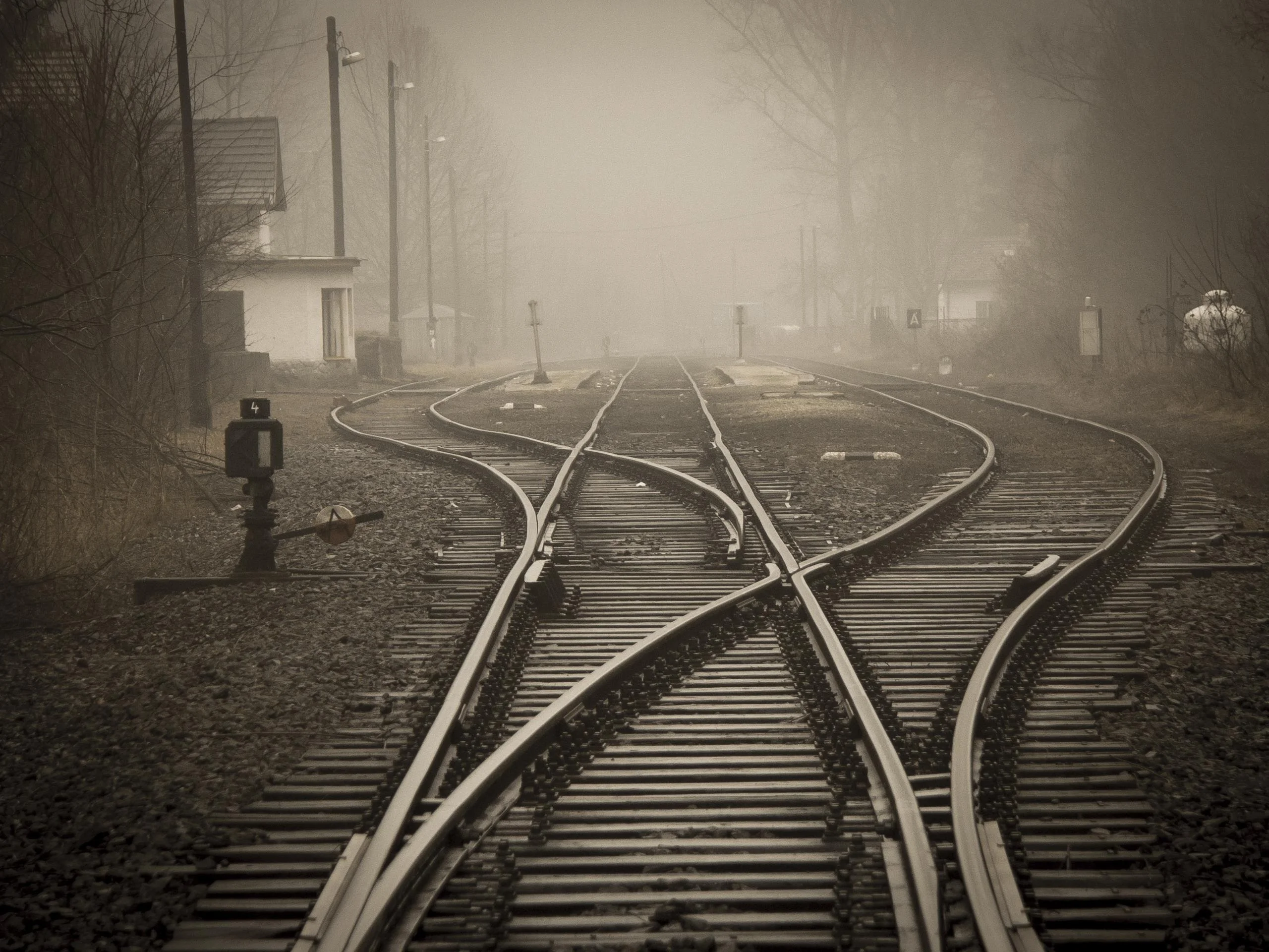 God’s Sovereignty, Predestination, and Free Will